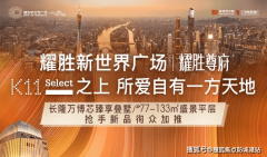 性远超同板块竞品