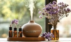 成为影响购策的焦点要素